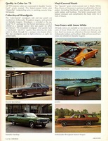 1973 AMC Exterior Colors Chart-02.jpg